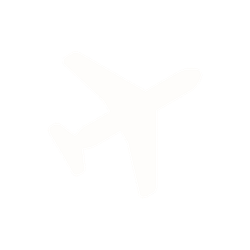 Flight Icon