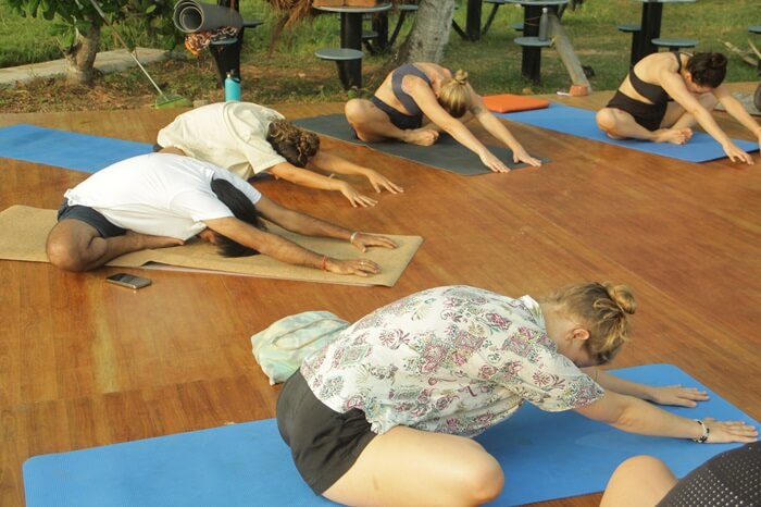 Students Practicing Yoga During the Advanced Yoga Adjustment and Alignment Course at Rishikul Yogshala, Kerala