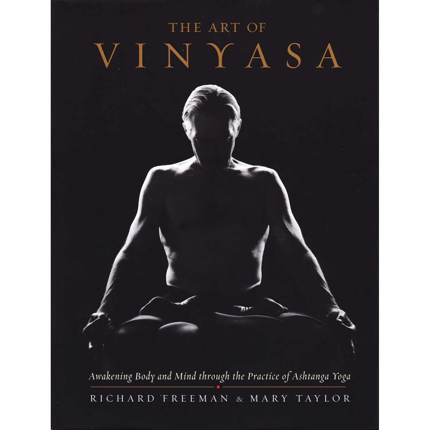Download & Read PDF of 'The Art Of Vinyasa' at Rishikul Yogshala