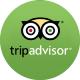 Tripadvisor Icon