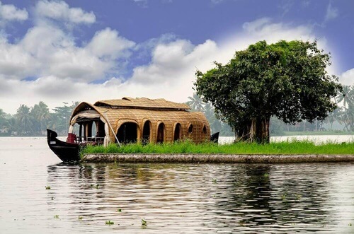 Traditional houseboat on a river in India with lush greenery and a tree on the bank