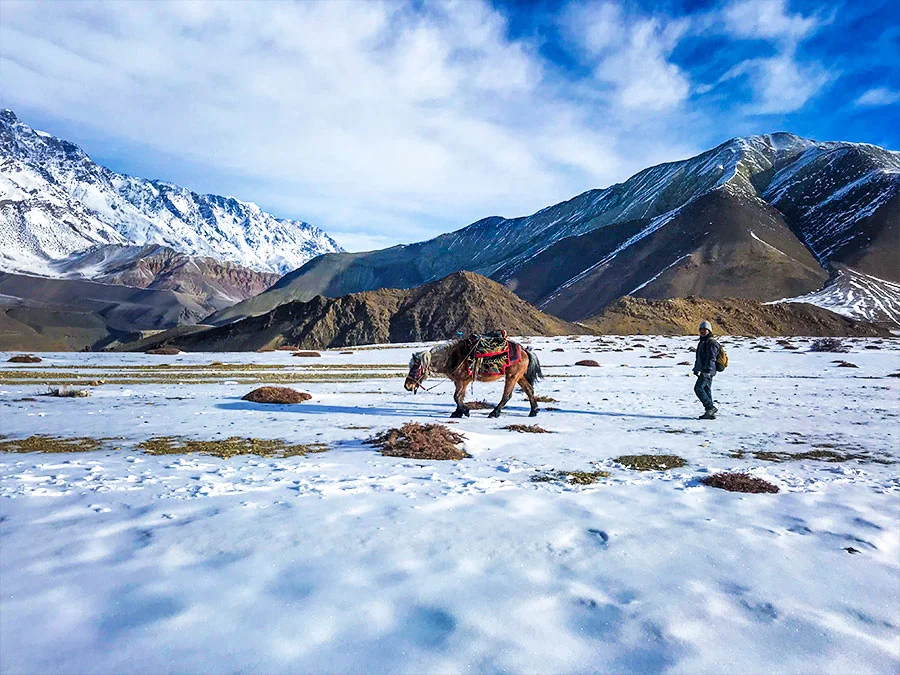 12- Day Annapurna Base Camp Yoga Trek Retreat in Nepal With Rishikul Yogshala