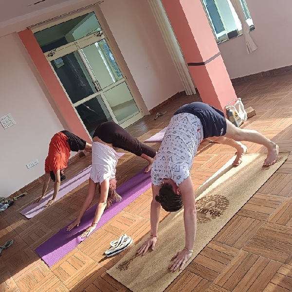 Yoga students practicing Downward Dog pose in a sunlit studio for strength, flexibility, and mindfulness