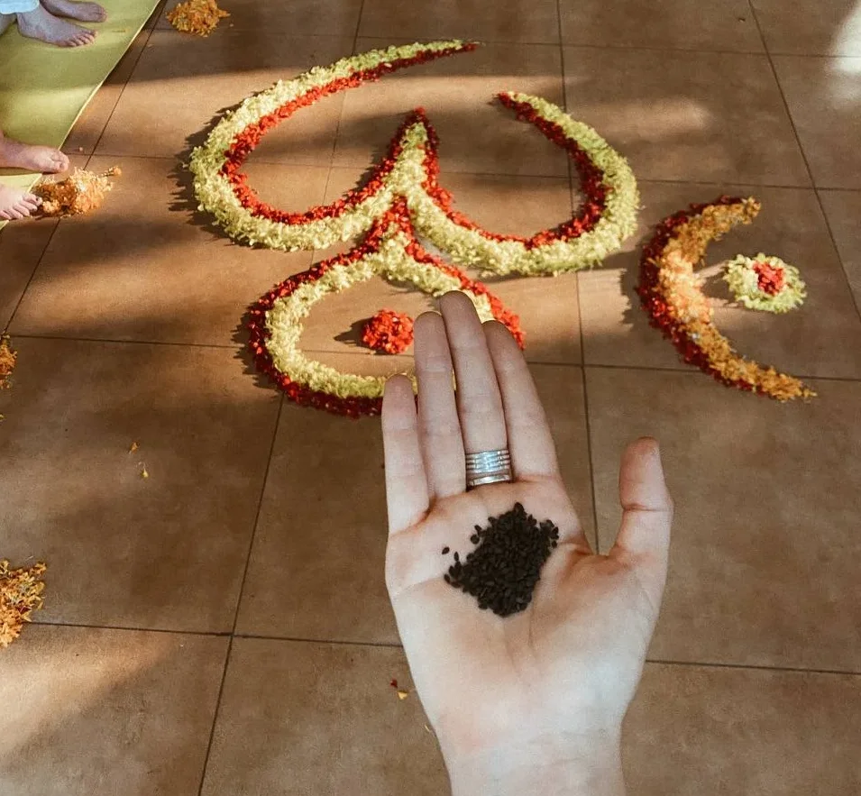 Yoga Retreat at Rishikul Yogshala Kerala