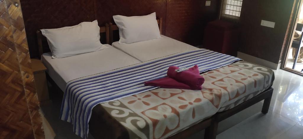 Accommodation For 300 Hour YTTC At Rishikul Yogshala Kerala
