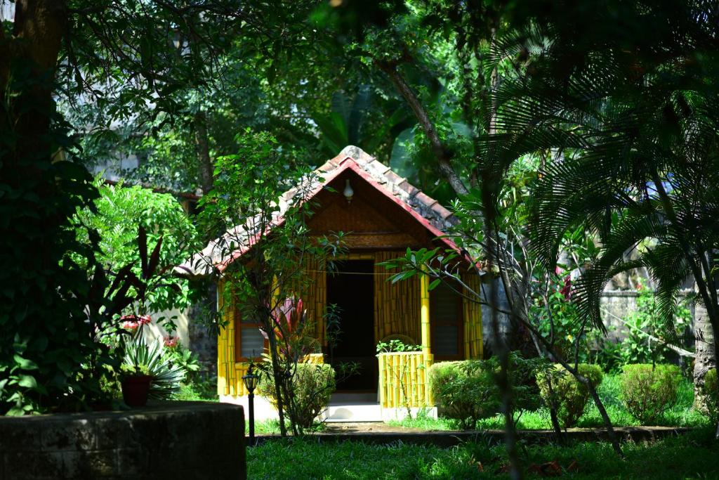 Accommodation For 500 Hour YTTC At Rishikul Yogshala Kerala