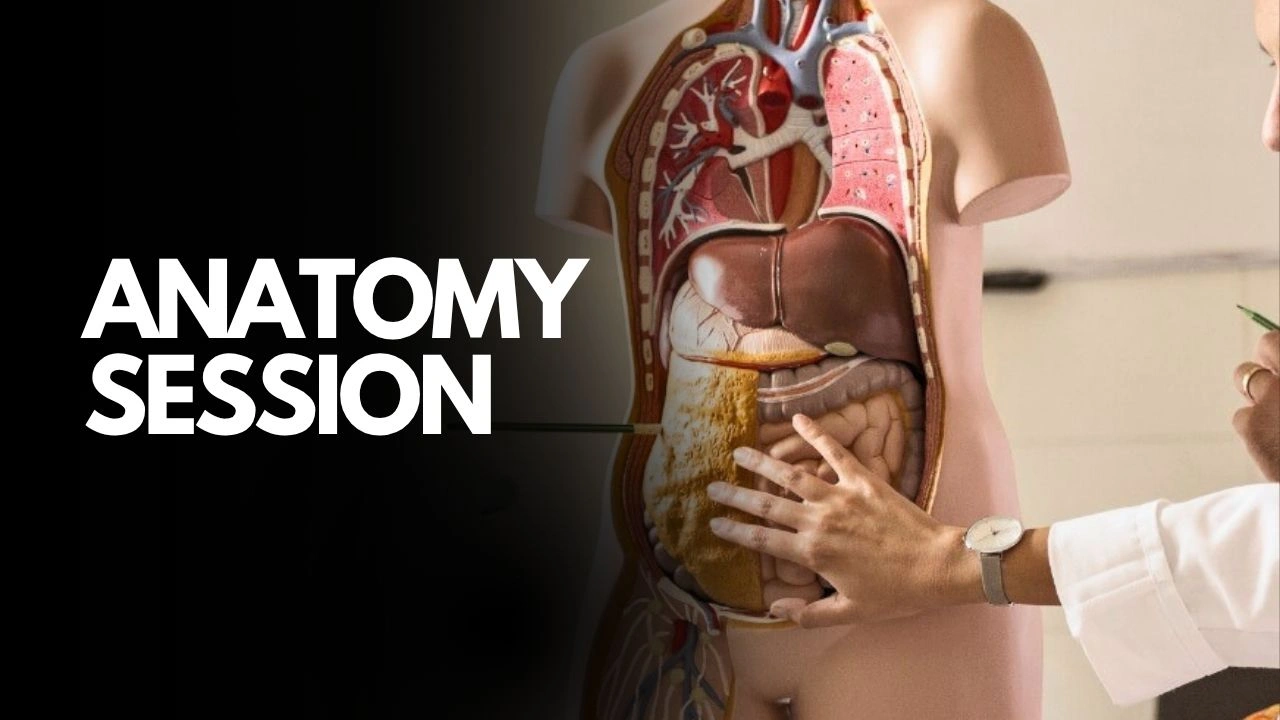 Video: Yoga Anatomy & Its Safety and Precautions