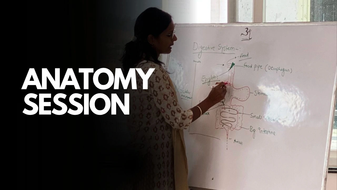 Video: Yoga Anatomy & Its Safety and Precautions