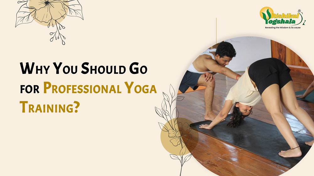 Why You Should Go for Professional Yoga Training? Why You Should Go for Professional Yoga Training?
