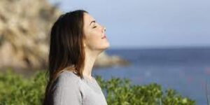 mindful-practices-for-increasing-the-capacities-of-mind-watching-the-breath