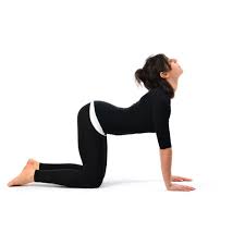 why-yoga-has-become-a-byword-for-health-and-cure-marjariasana