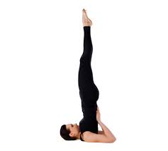 why-yoga-has-become-a-byword-for-health-and-cure-shoulder-stand
