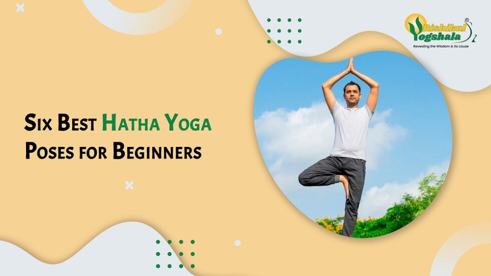 Six Best Hatha Yoga Poses for Beginners Rishikul Yogshala