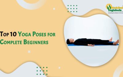 Top 10 Yoga Poses for Complete Beginners