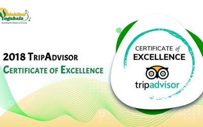 Receiving The TripAdvisor Certificate of Excellence 2018