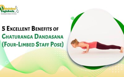 5 Excellent Benefits of Chaturanga Dandasana (Four-Limbed Staff Pose)