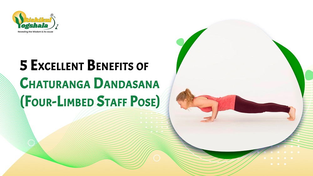 Four Limbed Staff Pose (Chaturanga Dandasana)