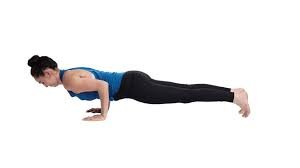 Astha Yoga - CHATURANGA DANDASANA/ FOUR LIMBED STAFF POSE