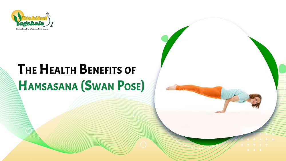 The Health Benefits of Hamsasana (Swan Pose) - Rishikul Yogshala Blog