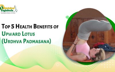 Top 5 Health Benefits of Upward Lotus (Urdhva Padmasana)