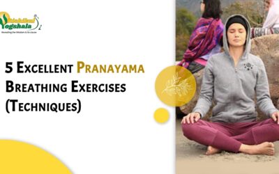 5 Excellent Pranayama Breathing Exercises (Techniques)