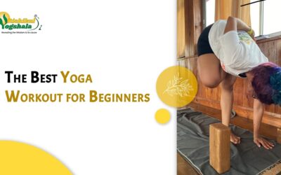 The Best Yoga Workout for Beginners