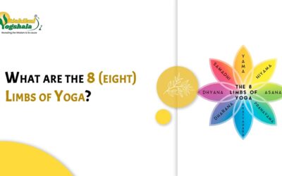 What are the 8 (Eight) Limbs of Yoga?