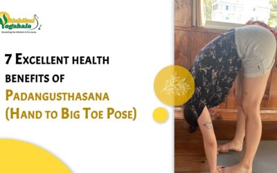 7 Excellent health benefits of Padangusthasana (Hand to Big Toe Pose)