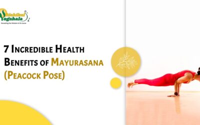 7 Incredible Health Benefits of Mayurasana (Peacock Pose)