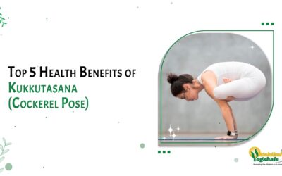 Top 5 Health Benefits of Kukkutasana (Cockerel Pose)