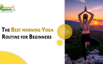 The Best morning Yoga Routine for Beginners