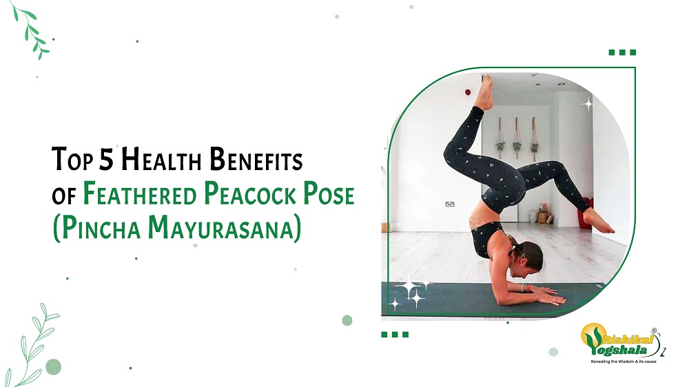 Top 5 Health Benefits of Feathered Peacock Pose(Pincha Mayurasana) -  Rishikul Yogshala Blog
