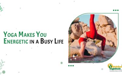 Yoga Makes You Energetic in a Busy Life