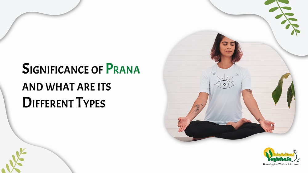 Significance of Prana and what are its Different Types - Rishikul Yogshala  Blog