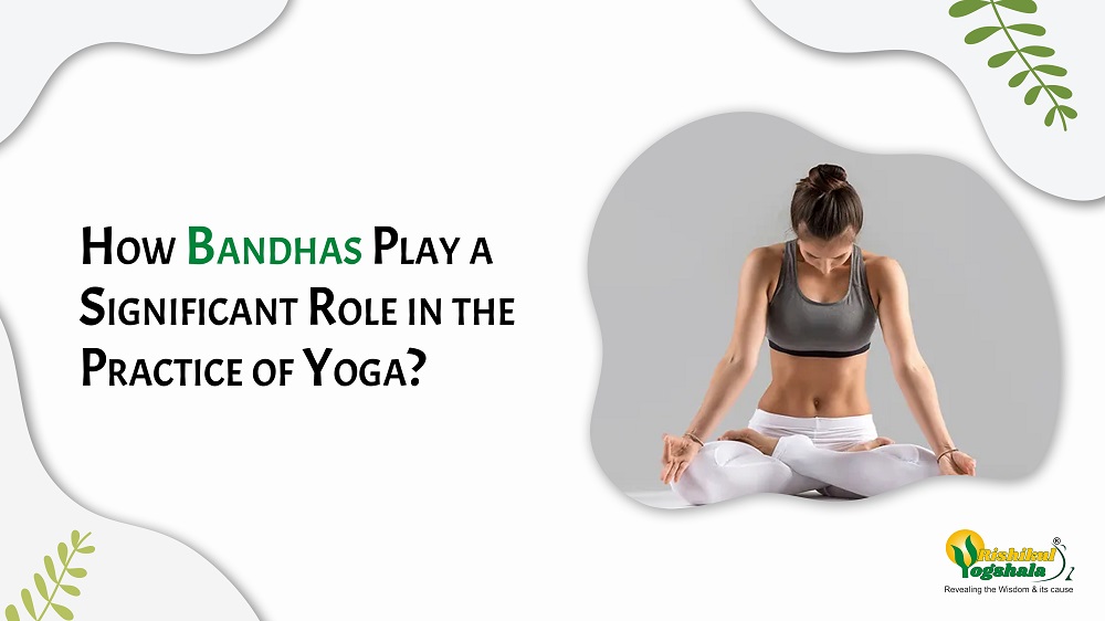 How Bandhas Play a Significant Role in the Practice of Yoga? - Rishikul  Yogshala Blog