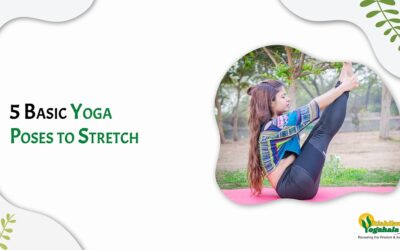 5 Basic Yoga Poses to Stretch