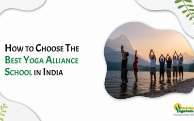 How to Choose The Best Yoga Alliance School in India