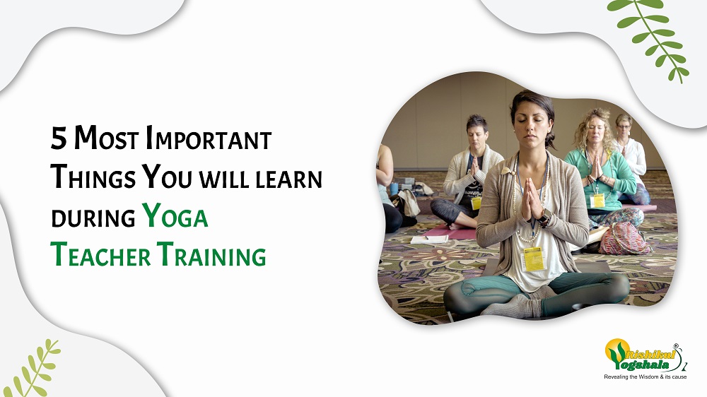 5 Most Important Things You will learn during Yoga Teacher Training 5 Most Important Things You will learn during Yoga Teacher Training