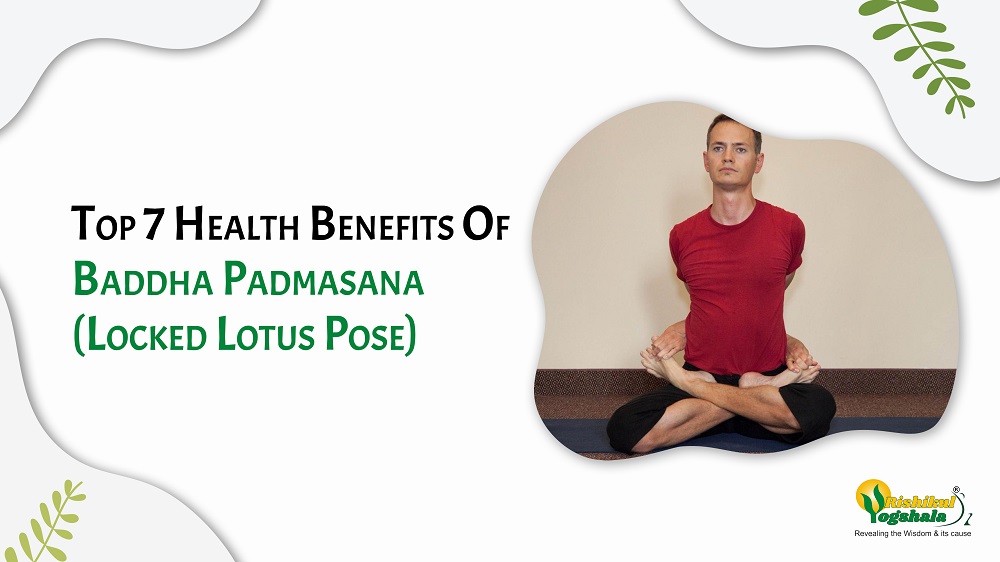 Benefits of Padmasana (Lotus Pose) - World Peace Yoga School