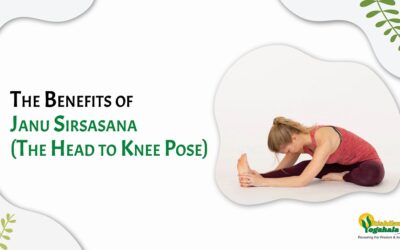 The Benefits of Janu Sirsasana (The Head to Knee Pose)