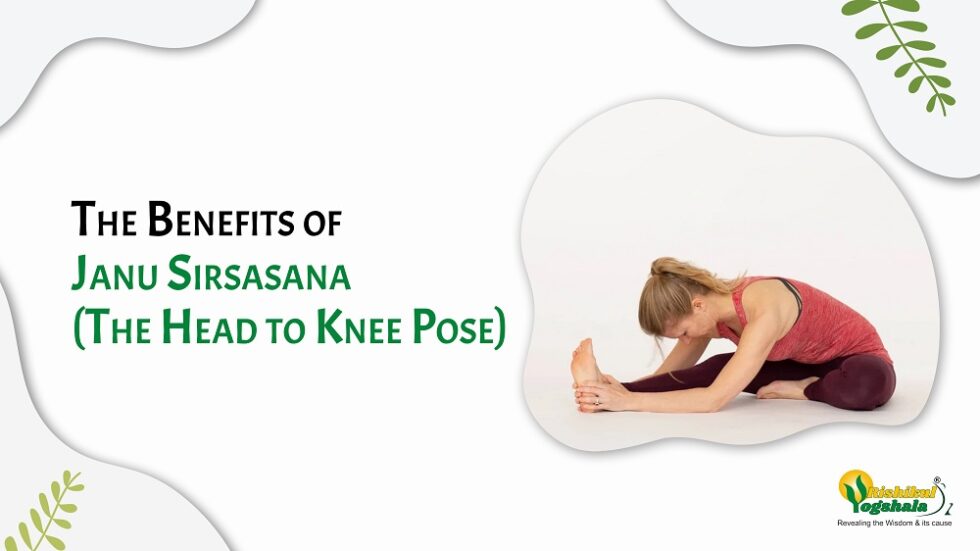 Janu Sirsasana (Head to Knee Pose) – Powerful 9 Benefits for Mind and Body