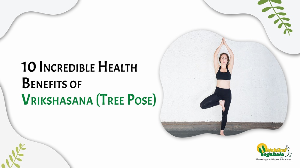 Yoga tree pose or vrikshasana silhouette female Vector Image
