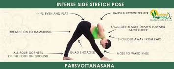 how-to-increase-your-flexibility-parsvottanasana-or-pyramid-pose