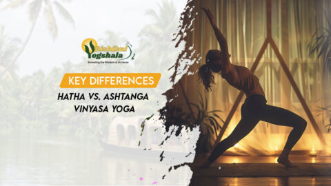 yin yoga vs hatha