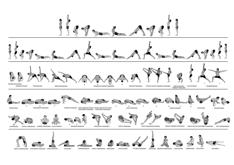 Ashtanga Vinyasa Yoga Poses