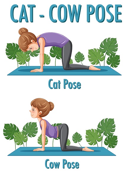 Cat-Cow Stretch (Marjaryasana-Bitilasana)
