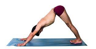 Step 8: Adho Mukha Svanasana or the Downward Dog Pose