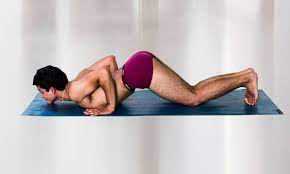 Step 6: Ashtanga Namaskara or Salute with Eight Points Pose