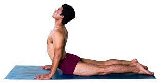 Step 7: Bhujangasana or the Cobra Pose