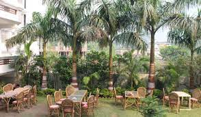 Serene Outdoor Seating Area Surrounded by Lush Green Palm Trees